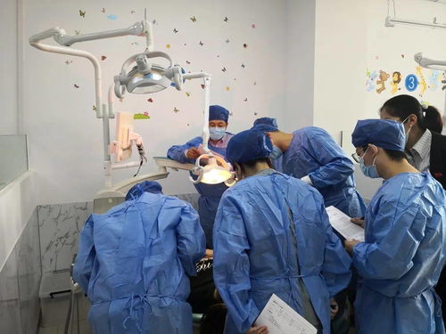 北京重点人群口腔健康状况监测技术培训会在我区圆满完成